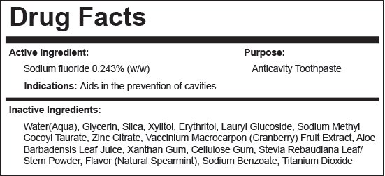 Anti-Cavity Xylitol Spearmint Toothpaste, with Fluoride