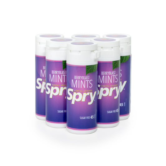45ct Xylitol Mints